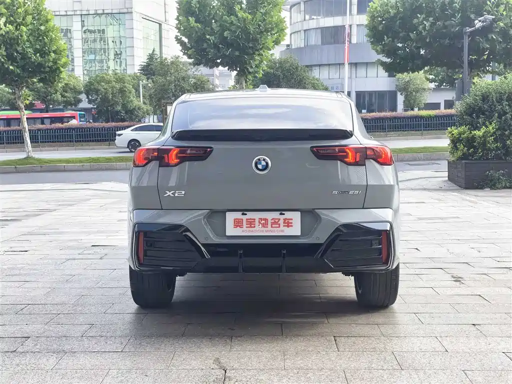 BMW X2 (Import) 2024 sDrive25i M Sport Package фото 8
