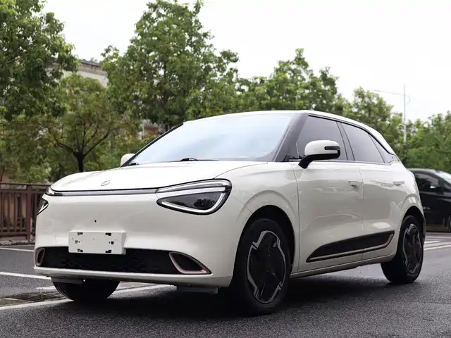 Dongfeng Nano 01 330 Plus, Smart, +