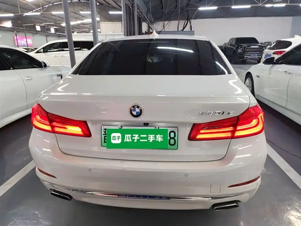 BMW 5 Series New Energy 2019 530Le Luxury Package фото 6