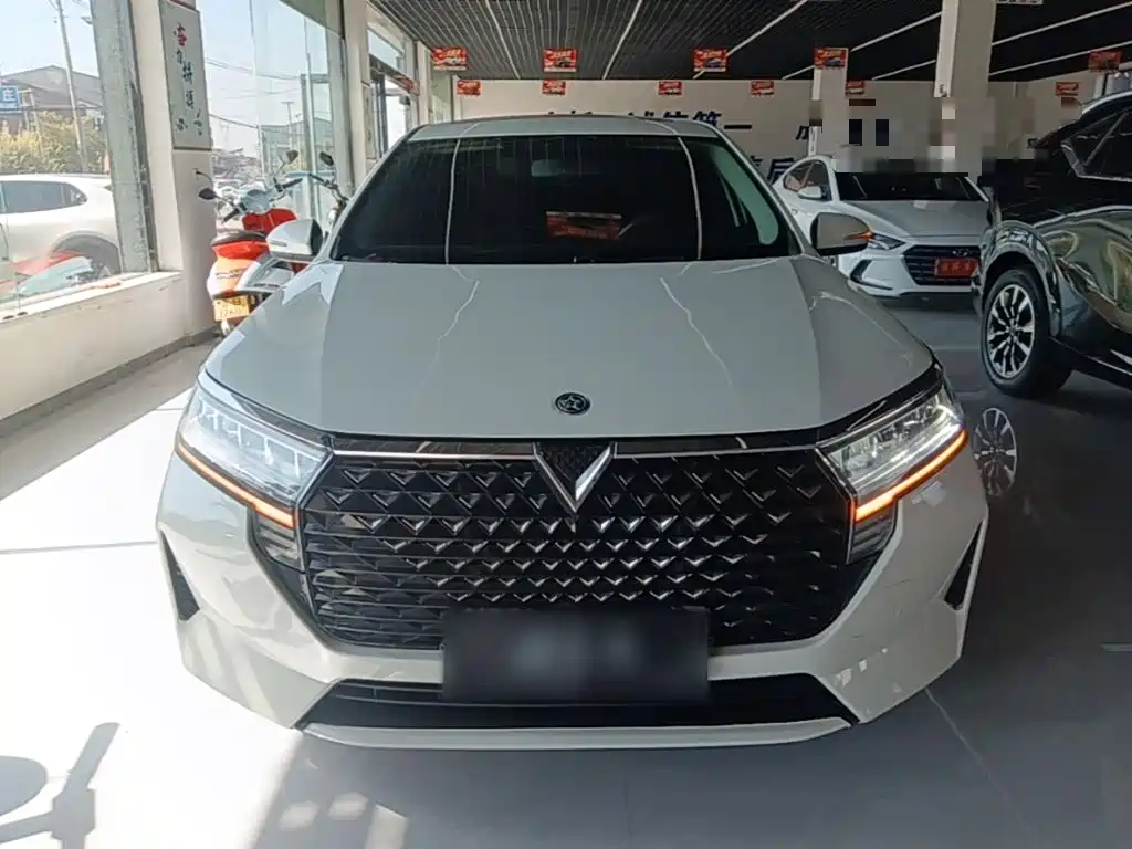 2024 Venucia D60