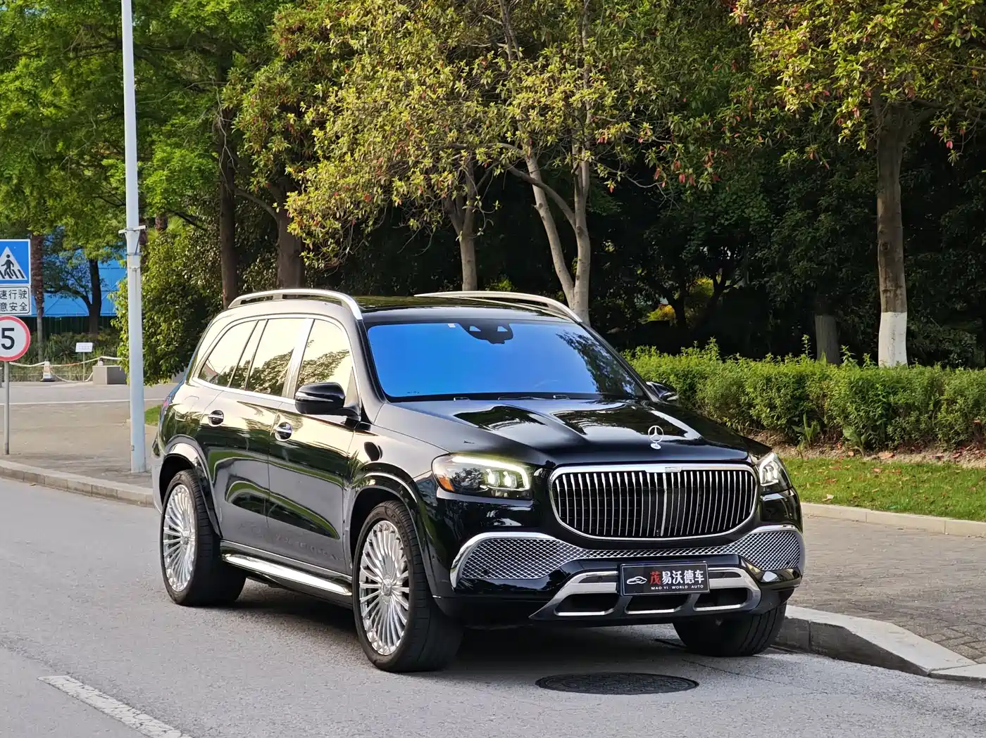 Mercedes-Benz Maybach GLS 2021 GLS 600 4MATIC Etiquette Edition фото 3
