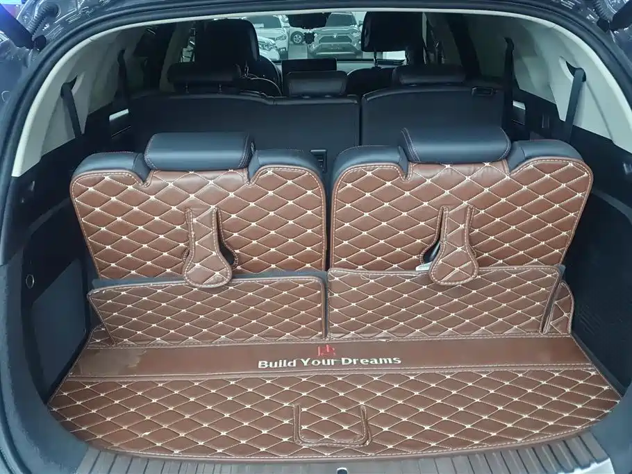 BYD TANGXIN ENERGY