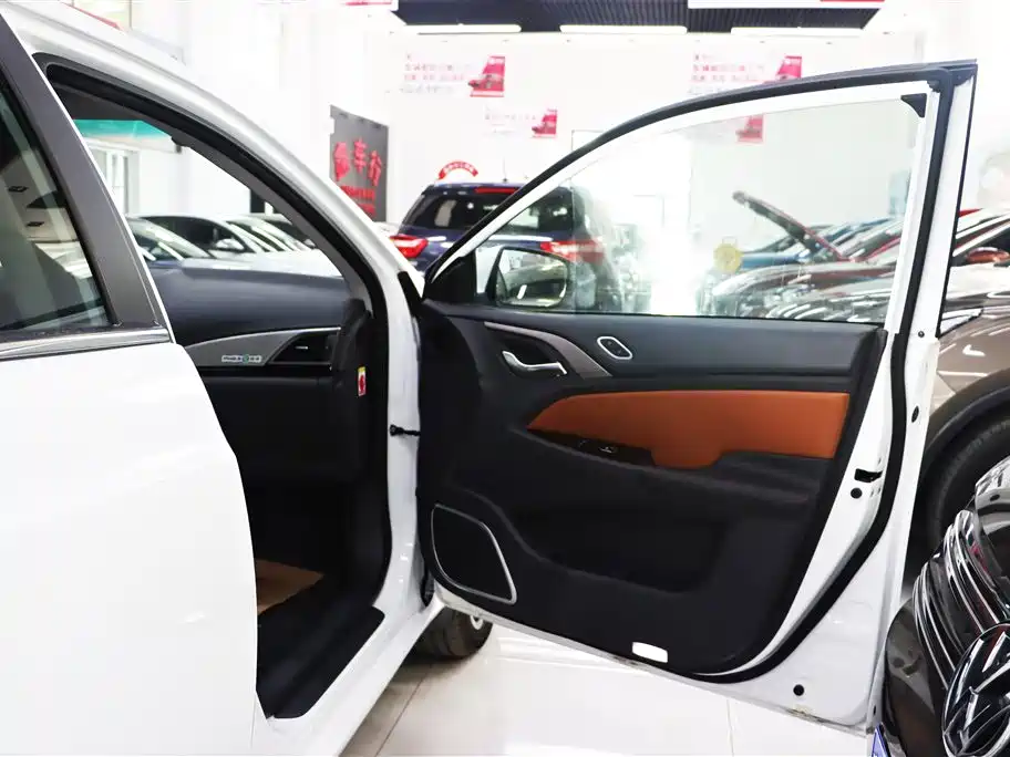 BYD Qin New Energy 2016 Qin EV300 Honor фото 23