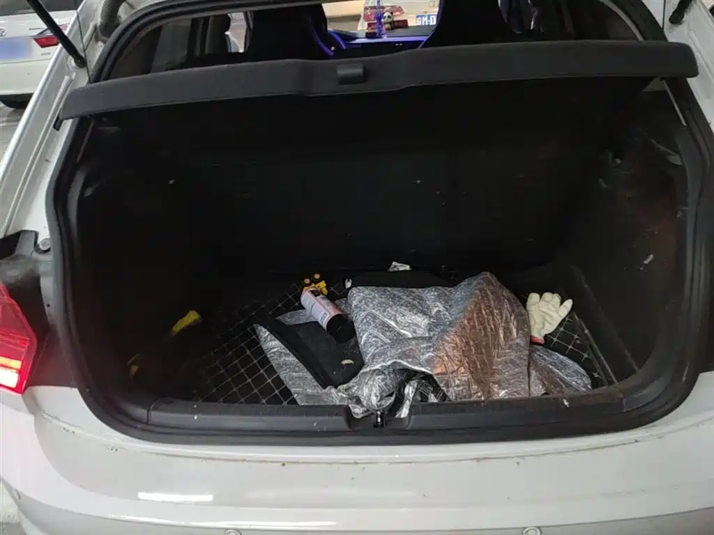Volkswagen Polo 2023 Facelift Plus 1.5L Auto Joyful Living Edition фото 19