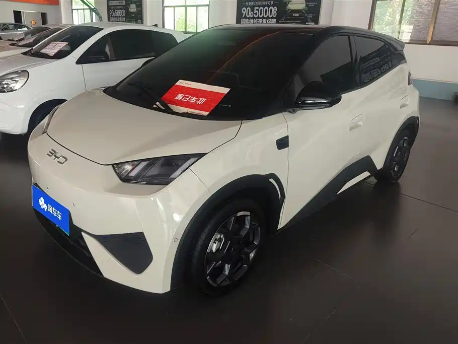 BYD Seagull 2025 Smart Drive Edition 305km Freedom Version