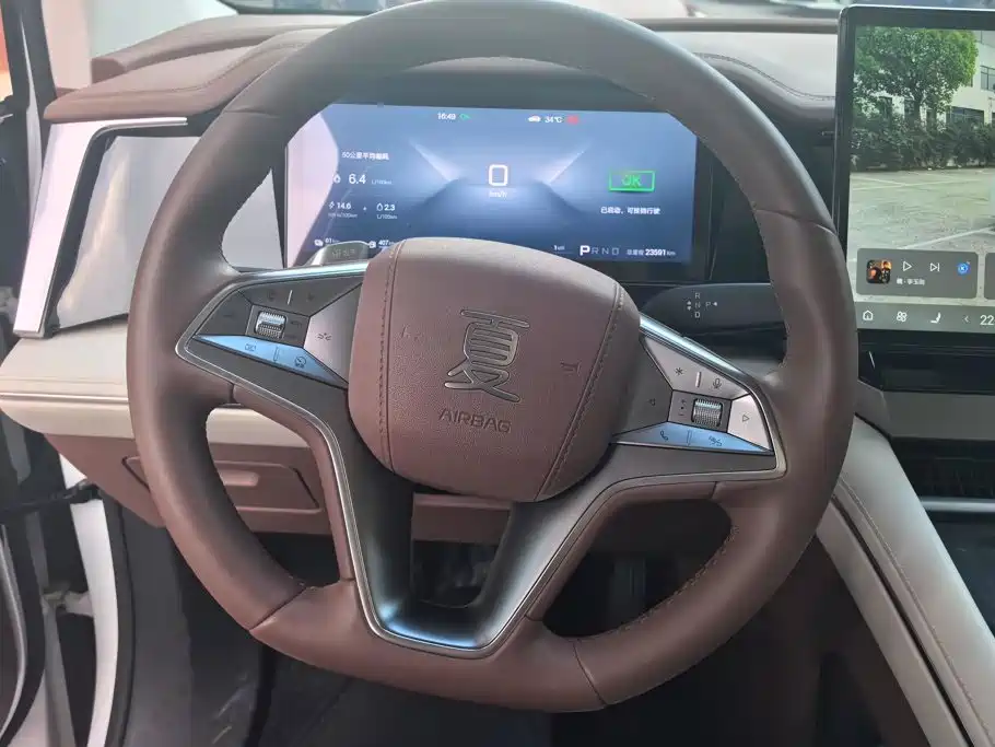 BYD Xia 2025 2025 DM-i 1.5T 100km Surpass Edition
