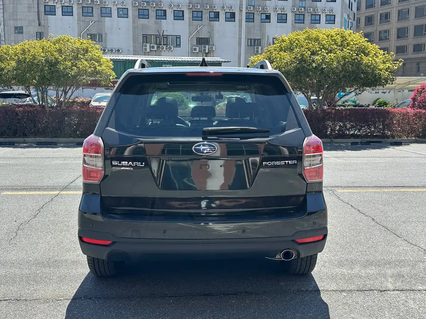 Subaru Forester 2013 2.5i Automatic Premium Edition фото 5