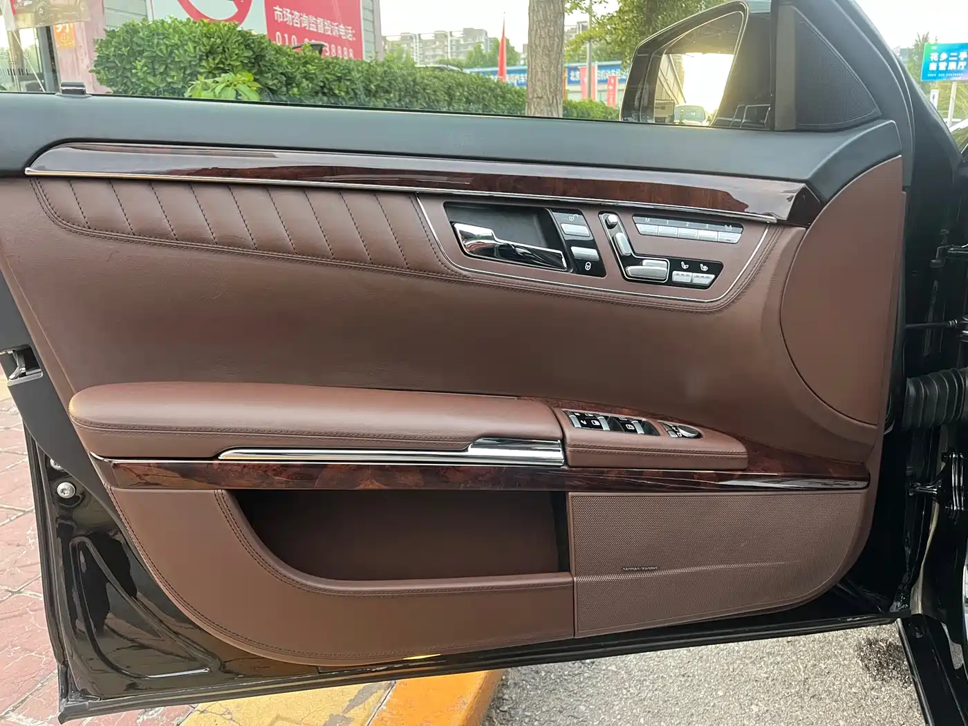 Mercedes-Benz S-Class 2010 S 600 L фото 15
