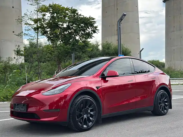 Tesla Model Y 2024 Long Range AWD — фото 1
