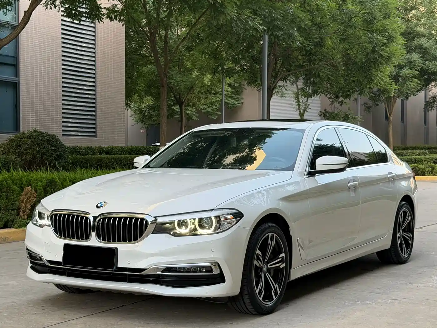 BMW 5 Series 2019 530Li xDrive Luxury Package
