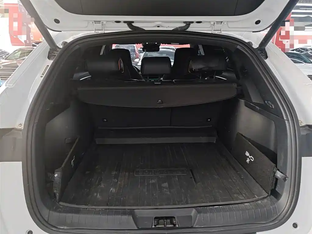 BYD Song PLUS PHEV 2021 DM-i 110KM Flagship PLUS фото 18