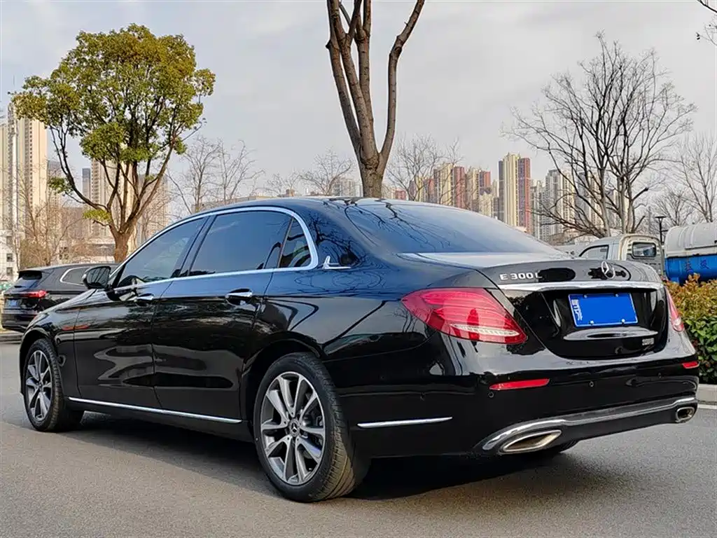 Mercedes-Benz E-Class 2019 E 300 L Fashion фото 11