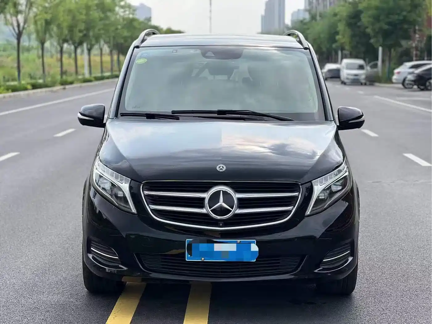 Mercedes-Benz V-Class 2018 V 260 Premium Edition China V фото 2