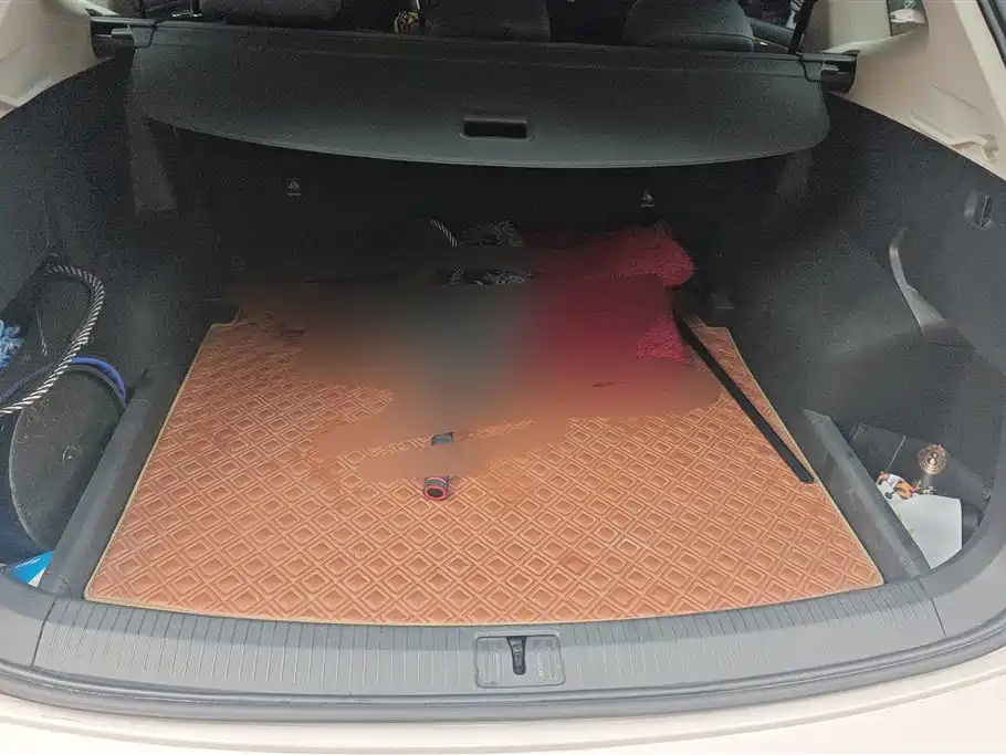 Volkswagen Tiguan L 2021 330TSI Automatic 2WD R-Line Premium фото 4
