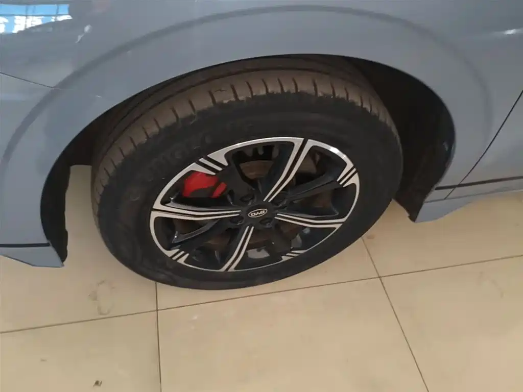 BYD e2 2019 Standard Range Intelligent Comfort фото 23