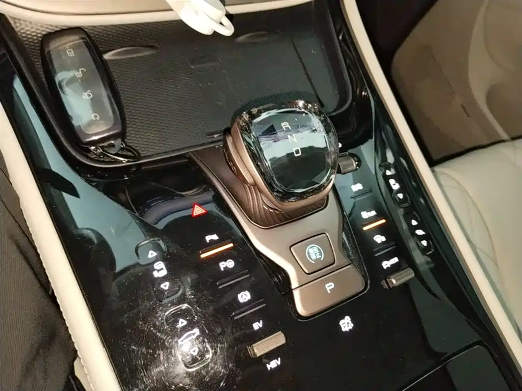 Denza D9 2022 DM-i 970 AWD Flagship фото 14