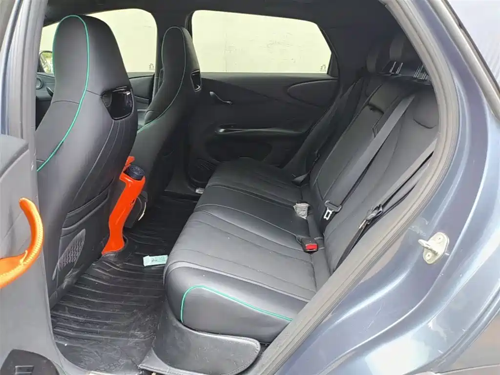 BYD Dolphin 2023 401km Knight Edition фото 17