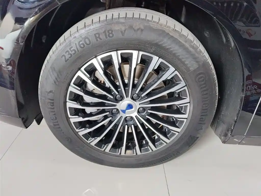 Denza D9 2022 DM-i 970 AWD Flagship фото 23
