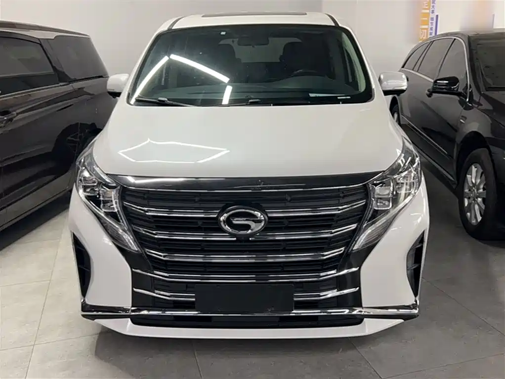 GAC Trumpchi Trumpchi M8 2023 Leading Series 390T Luxury Edition фото 14