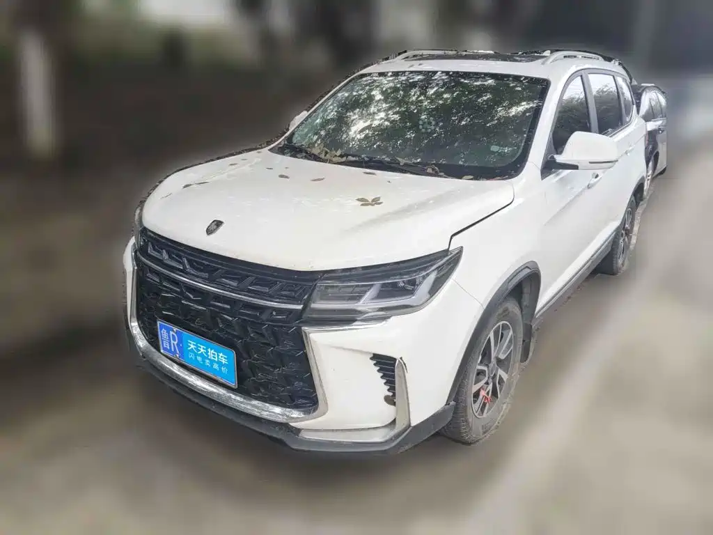 2024 Dongfeng Fengxing Fengxing T5