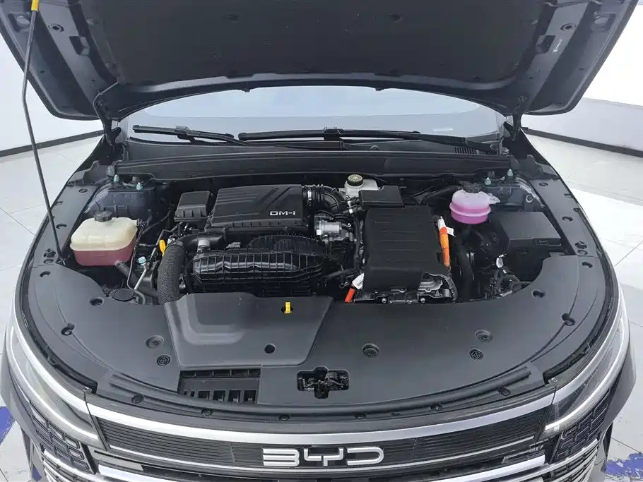 BYD Destroyer 05 2024 Glory Edition DM-i 55KM Luxury фото 10
