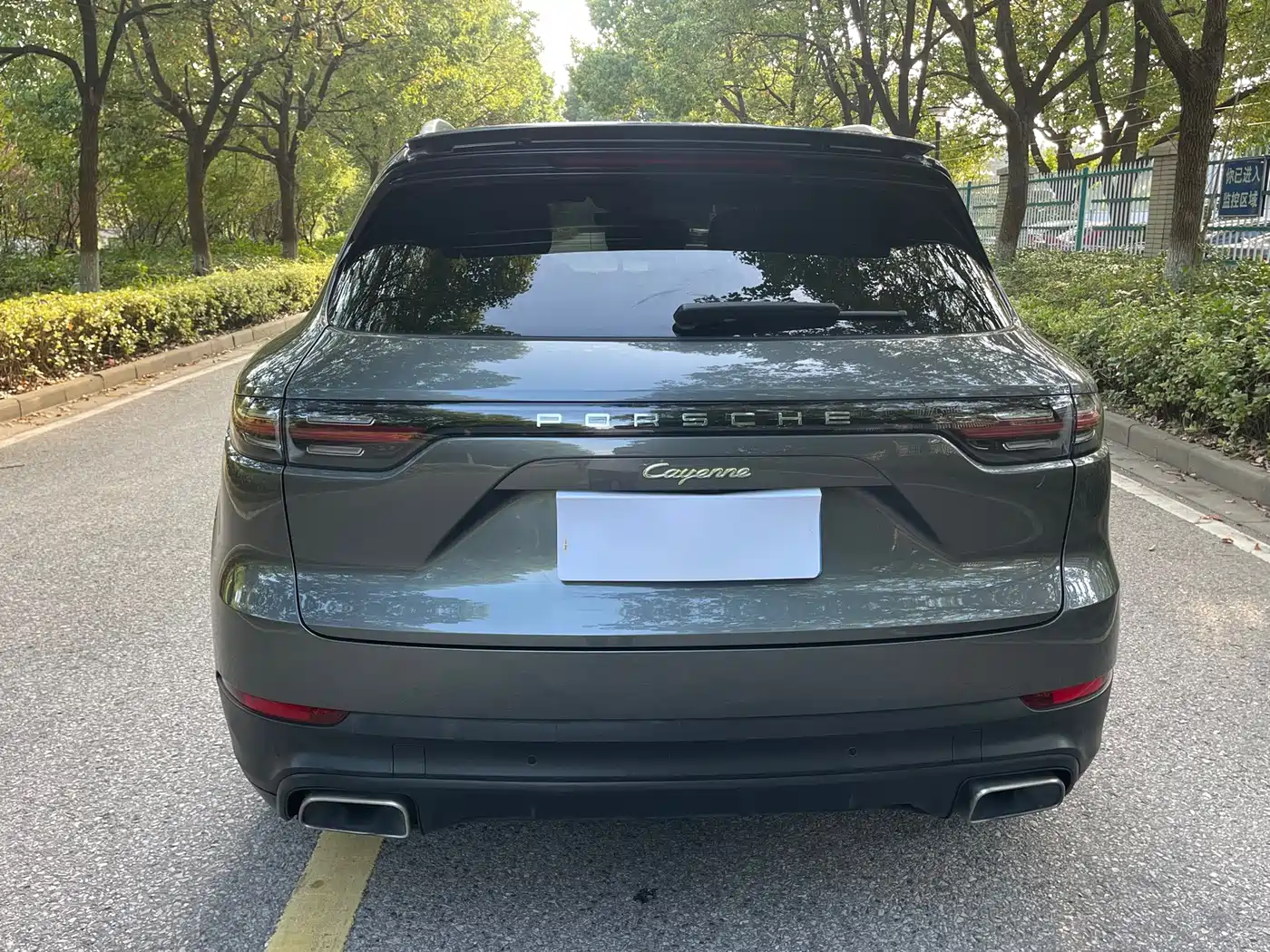 Porsche Cayenne New Energy 2020 2019 Cayenne E-Hybrid 2.0T
