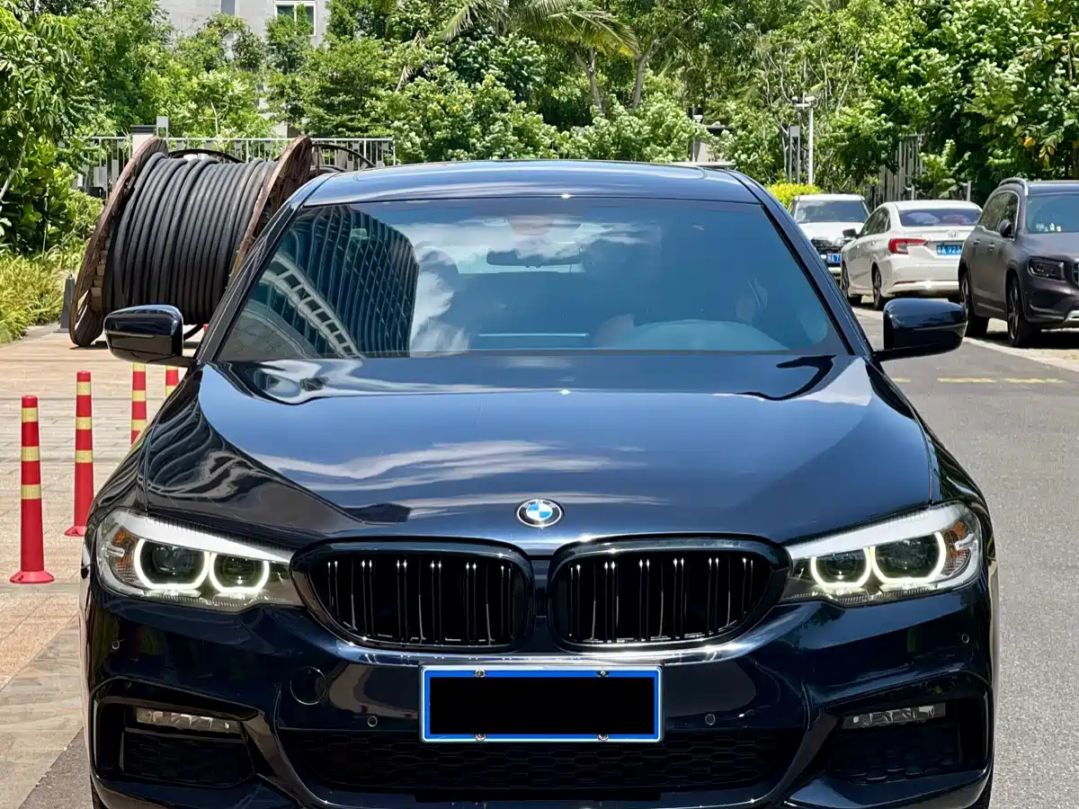 BMW 5 Series 2019 530Li Leading M Sport Package фото 2