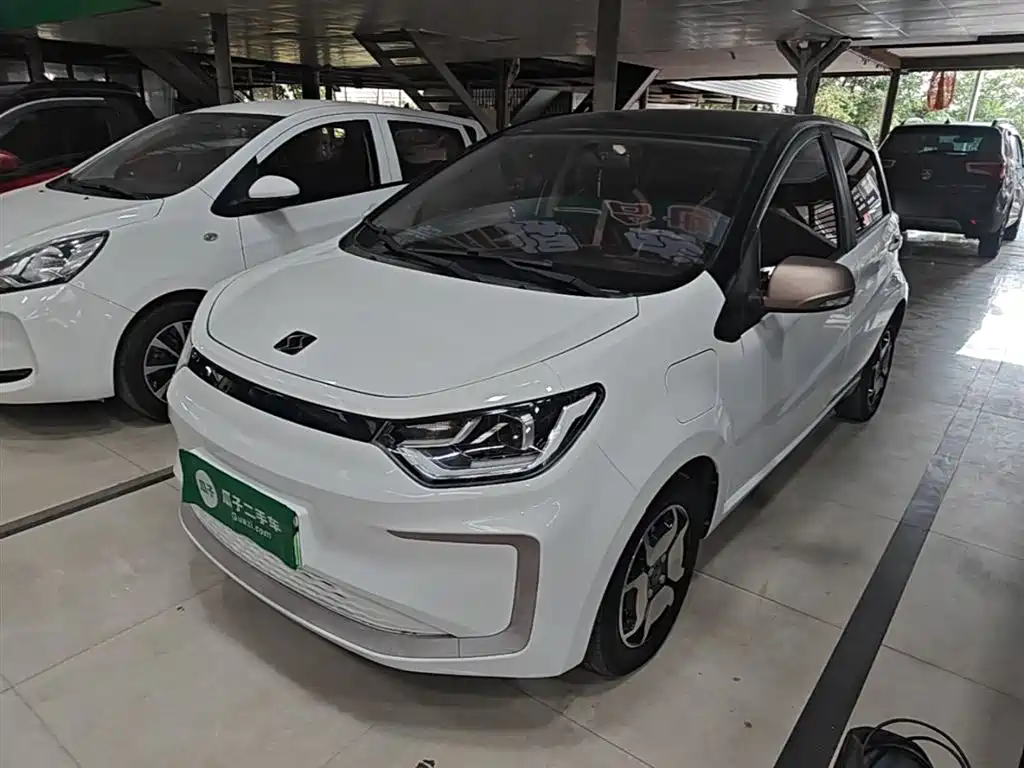 Sehol Flower Fairy 2021 Jimei Edition 302km Luxury