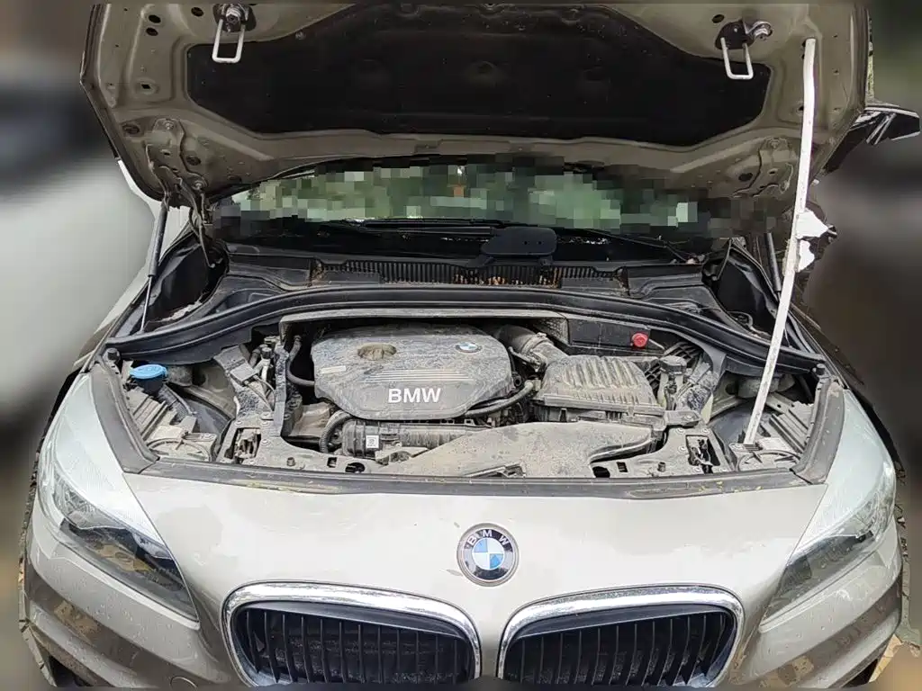 BMW 2 Series Tourer (Import) 2015 2015 218i Leading Type
