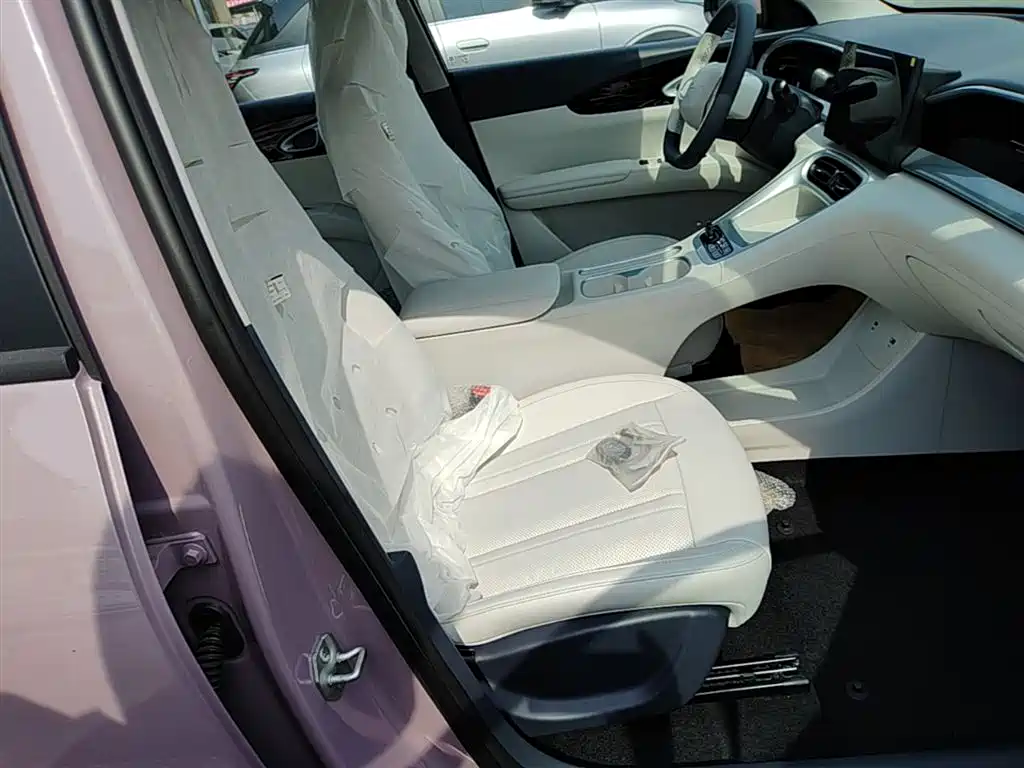Geely Galaxy Starry Wish 2026 Edition 310km Youth Version фото 25