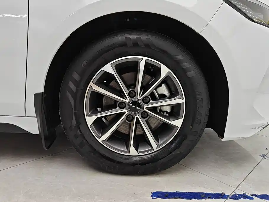 Фото 6 - BYD Destroyer 05