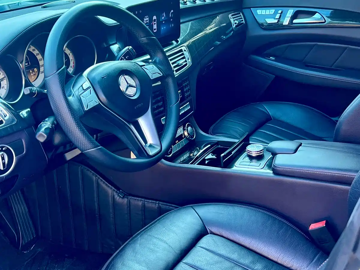 Mercedes-Benz CLS 2012 CLS 300 CGI фото 10