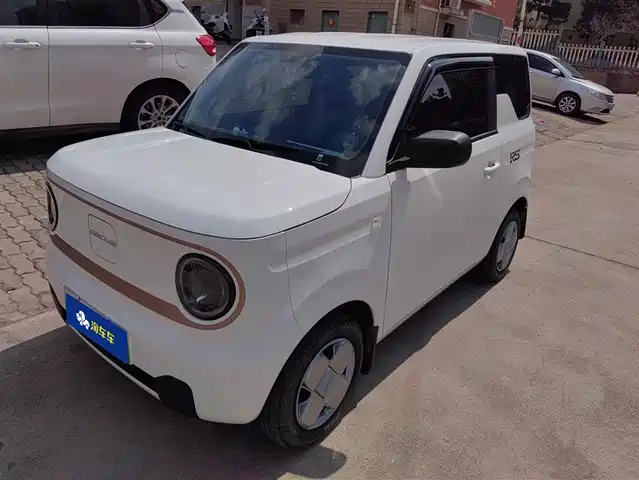 GEELY GALAXY PANDA
