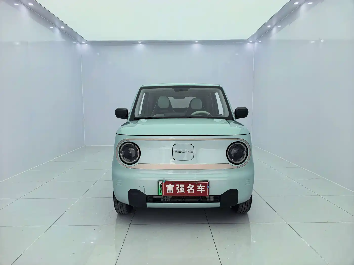 Geely Galaxy Panda 2023 2023 Panda Mini 200km Lively Bear