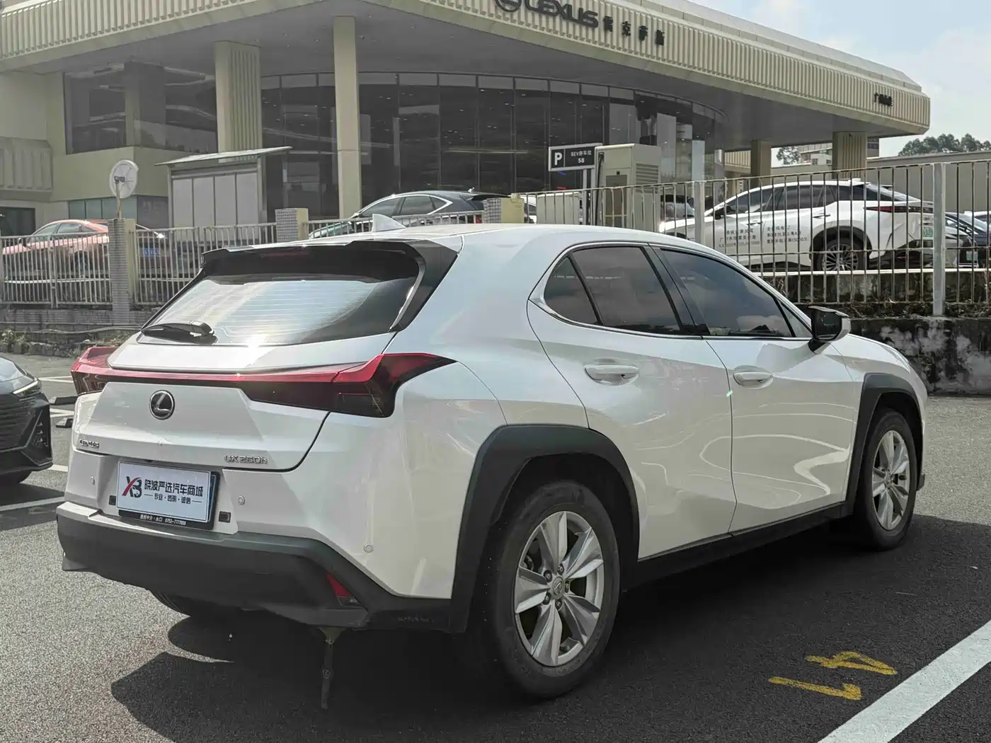 Lexus UX 2024 2022 260h Cool Edition