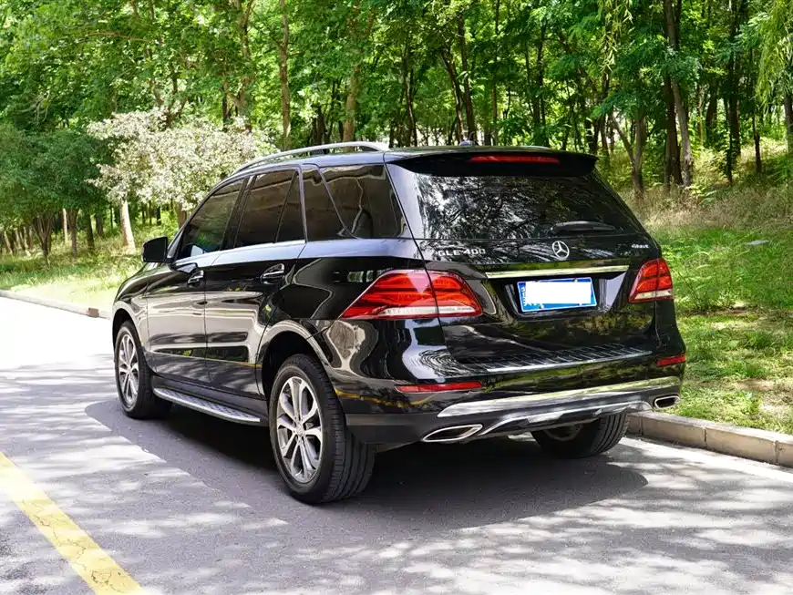 Mercedes-Benz GLE 2017 GLE 400 4MATIC фото 13