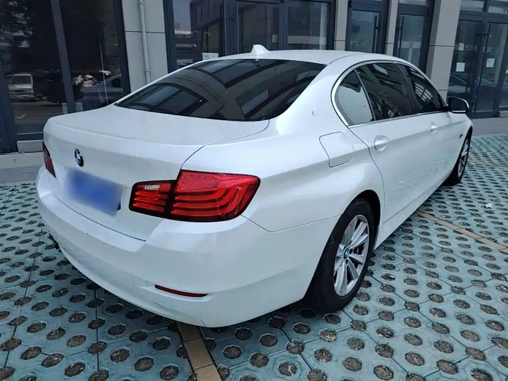BMW 5 Series 2014 520Li Elegance фото 5