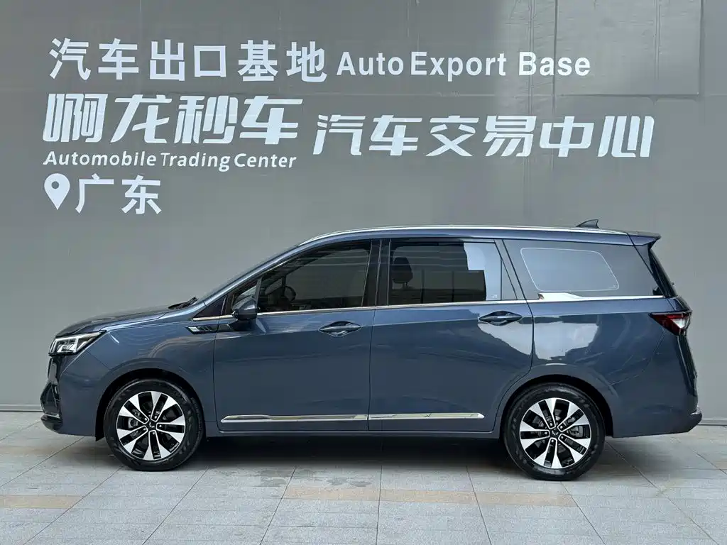Wuling Motors Wuling Jiachen 2024 2023 Model 2.0L DHT Flagship