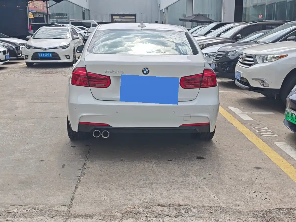 BMW 3 Series 2019 320Li M Sport Package фото 8