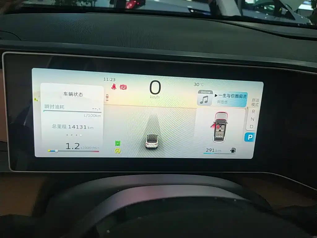 Geely ICON 2024 2023 1.5TD Protagonist