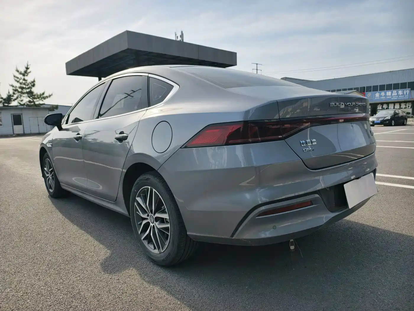 BYD Qin PLUS 2024 Glory Edition DM-i 120KM Surpass фото 4