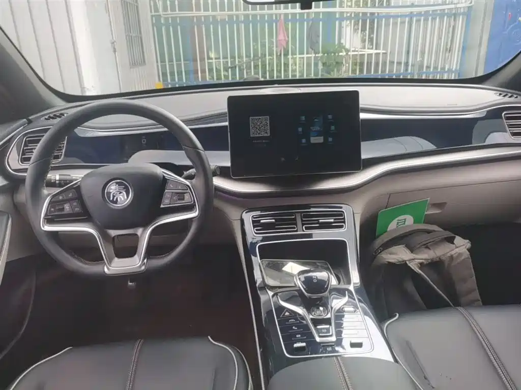 BYD Qin PLUS 2021 EV 500KM Premium Model фото 10