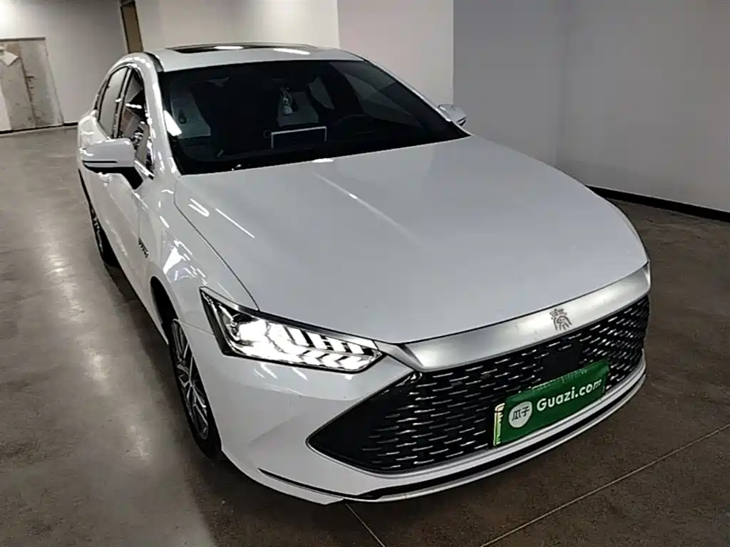 BYD Qin PLUS 2021 DM-i 120KM Flagship фото 4