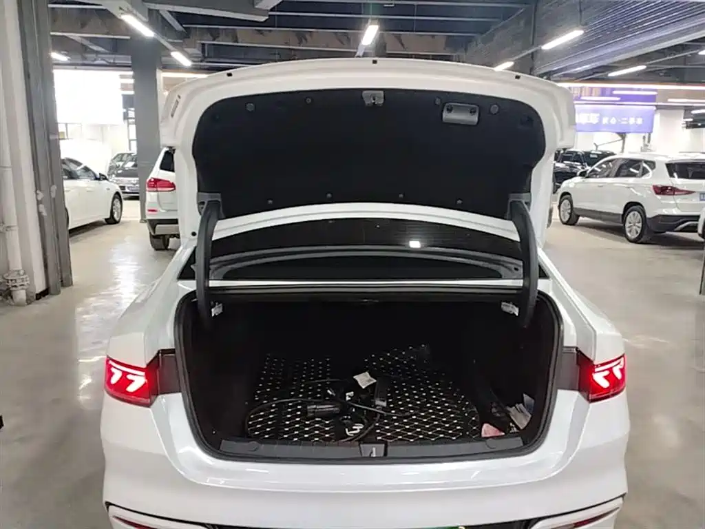 BYD Qin PLUS 2021 DM-i 120KM Flagship фото 19