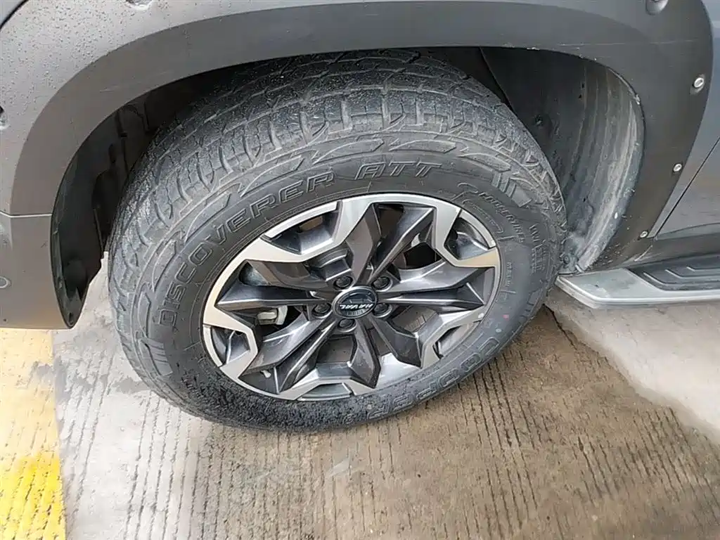 Haval Big Dog 2022 2.0T DCT 4WD Chinese Rural Dog Hunting Edition фото 24