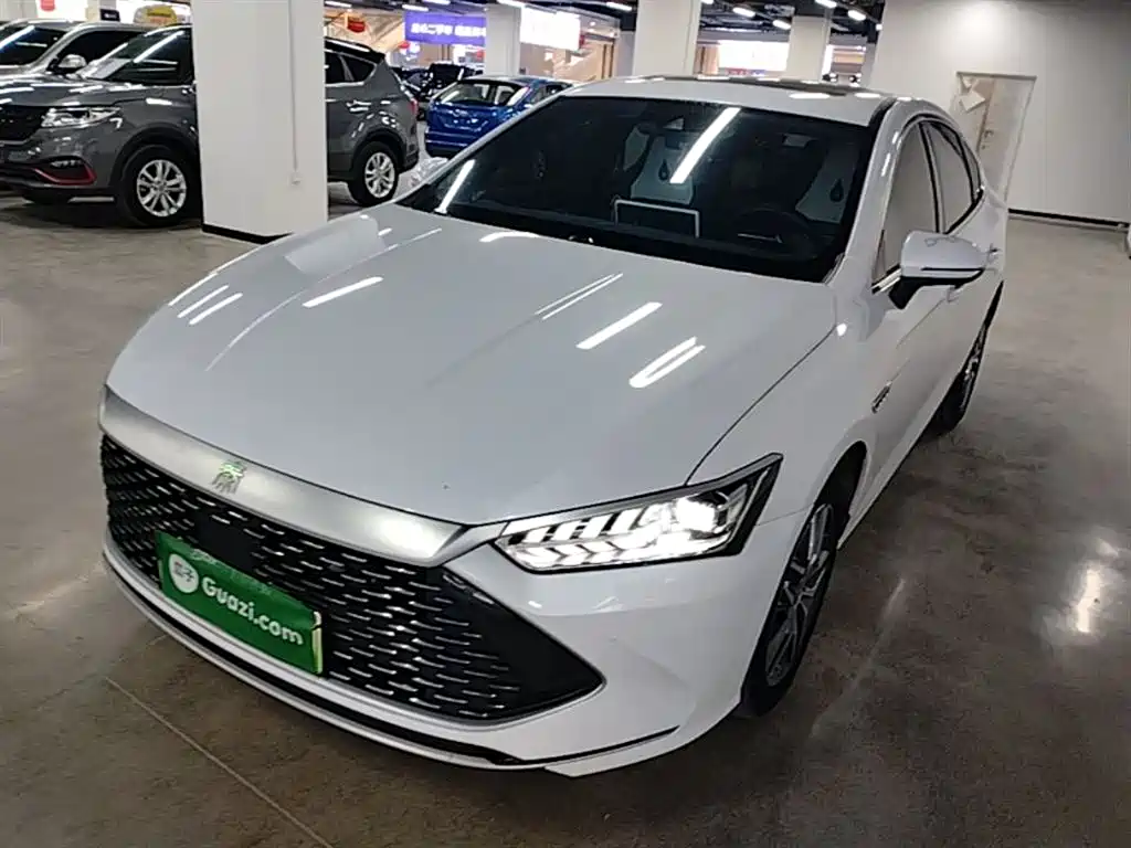 BYD Qin PLUS 2021 DM-i 120KM Flagship фото 2