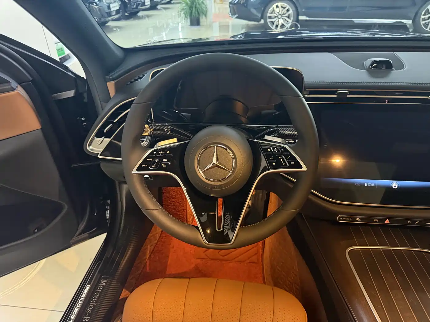 Mercedes-Benz E-Class 2025 E 300 L Luxury фото 12