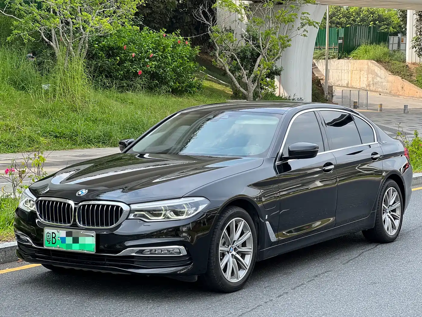 BMW 5 Series New Energy 2019 530Le Luxury Package