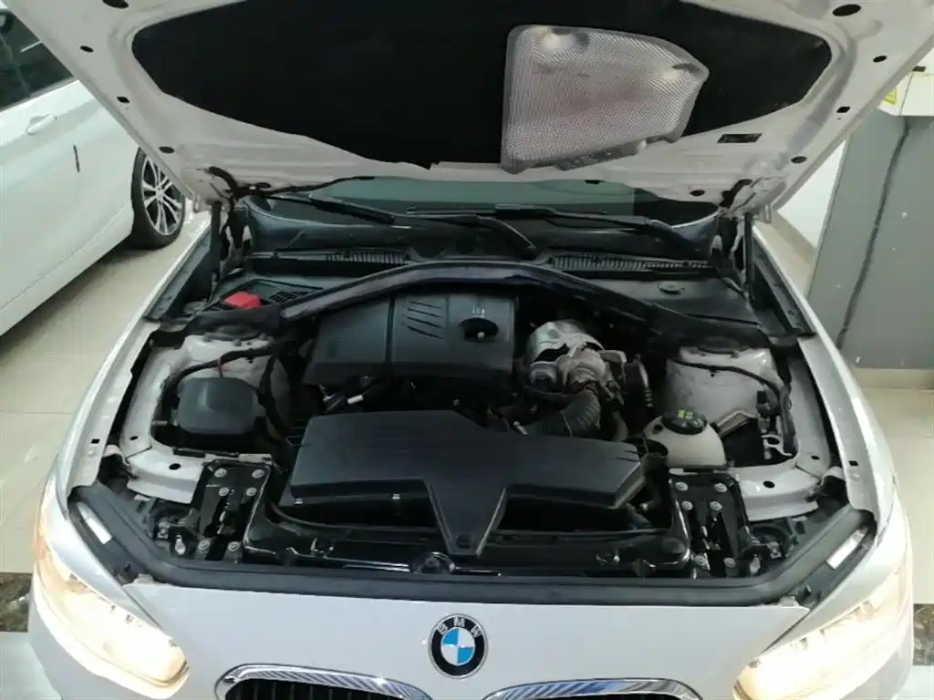 BMW 1 Series (Import) 2015 118i Leading фото 20