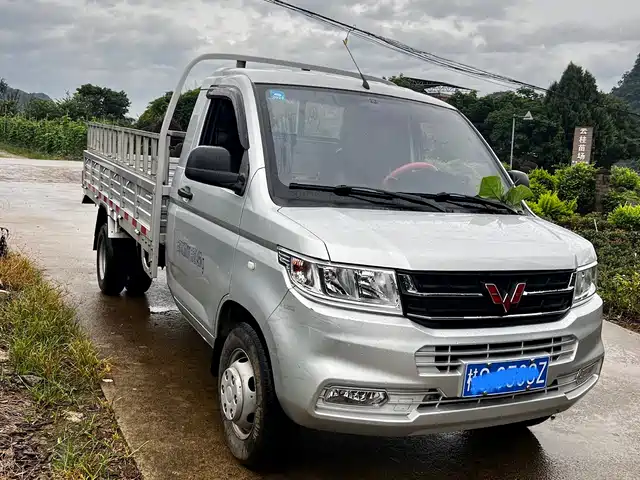 Wuling Motors Wuling Rongguang New Truck 2022 1.8L Base Single Cab 3.0T (ton) LJ479Q6